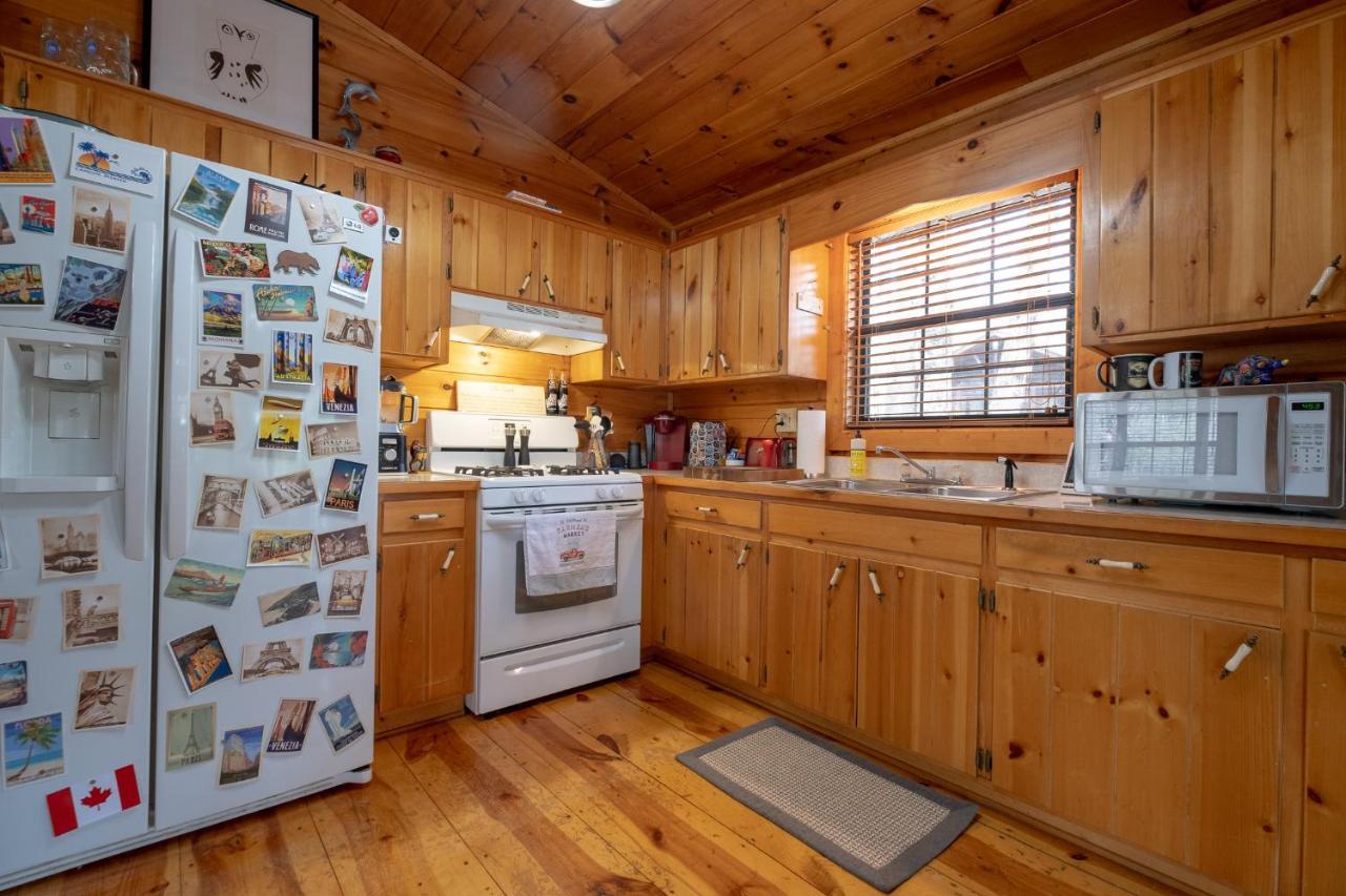 Villa Three Dog Night - Pet-Friendly Cabin With Hot Tub Blue Ridge Exterior foto