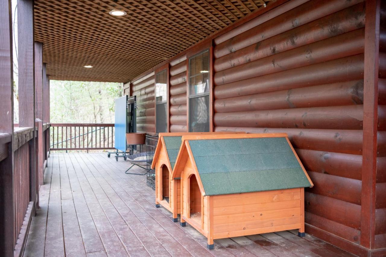 Villa Three Dog Night - Pet-Friendly Cabin With Hot Tub Blue Ridge Exterior foto