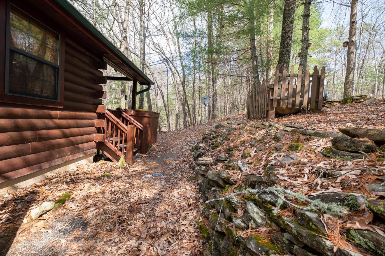Villa Three Dog Night - Pet-Friendly Cabin With Hot Tub Blue Ridge Exterior foto